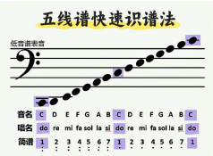 展示图片